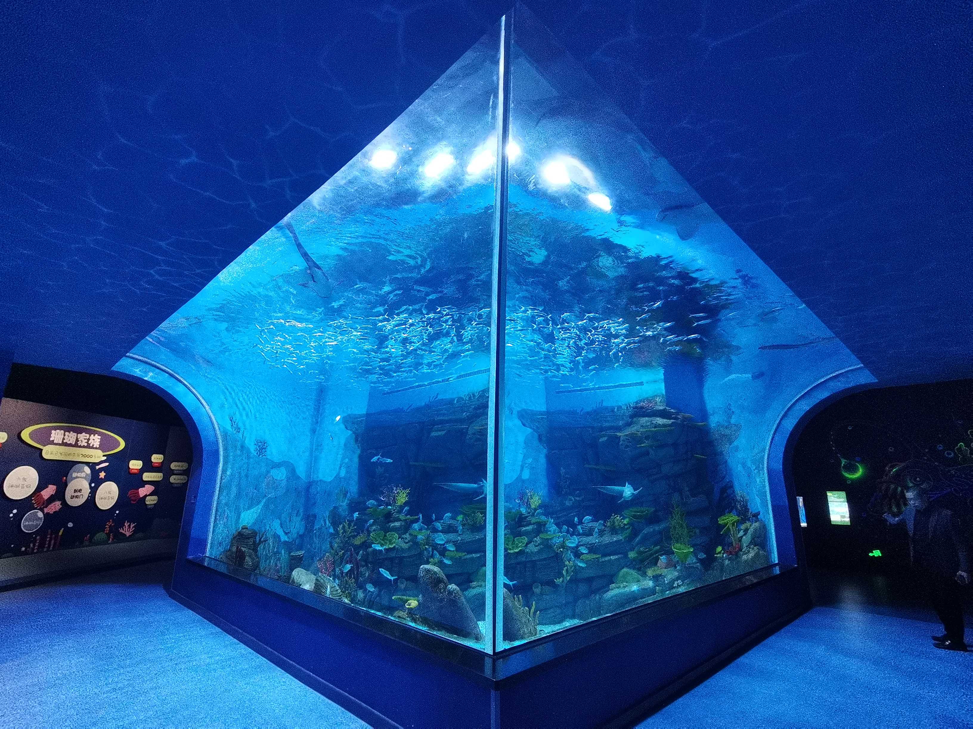 Posada Ocean Park - Leyu