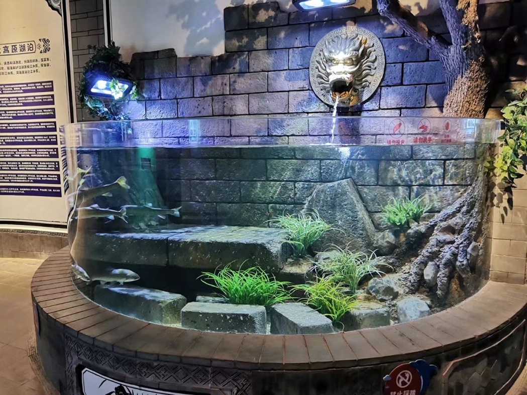 T&uacute;nel del acuario del 