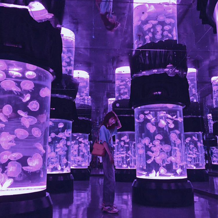 Acuario de medusas - Leyu