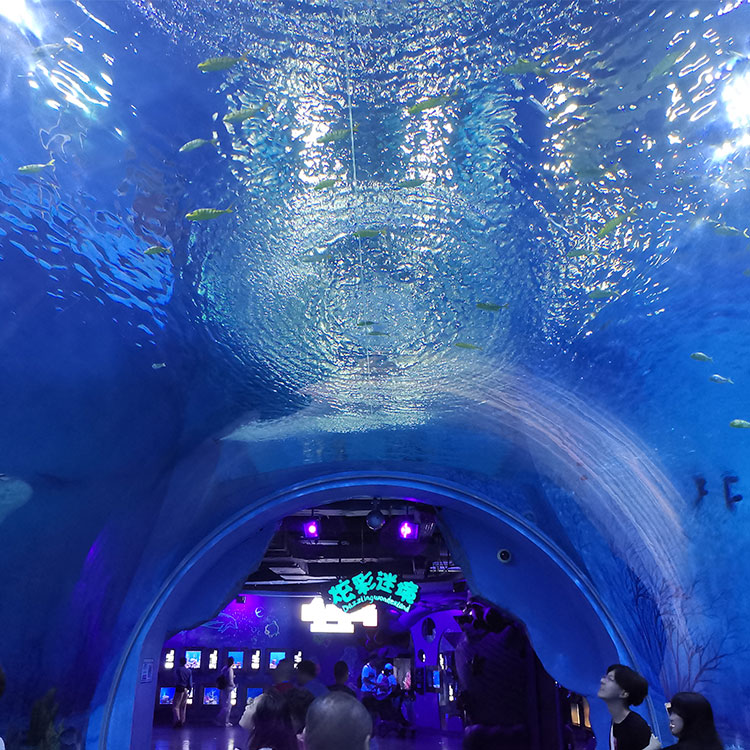 T&uacute;nel del acuario Leyu