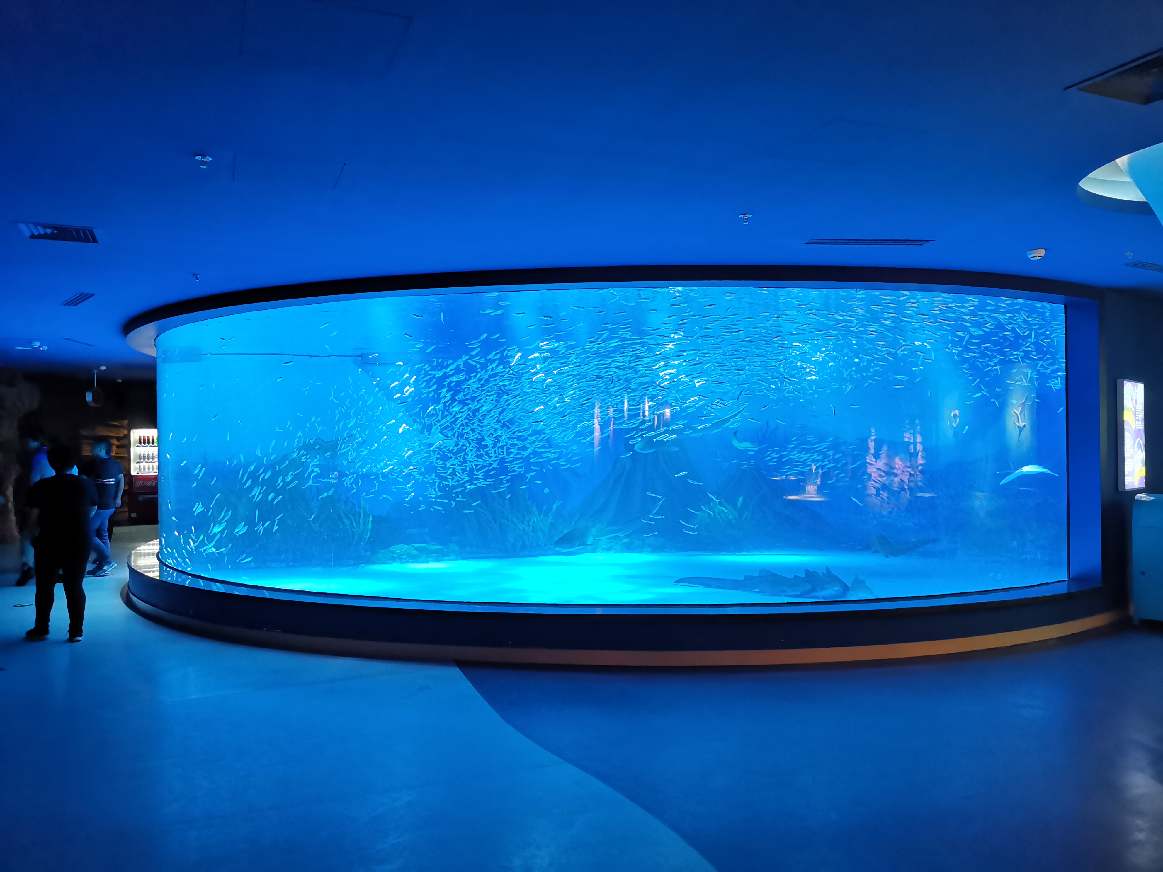 Ventana acr&iacute;lica para acuario - fabricaci&oacute;n