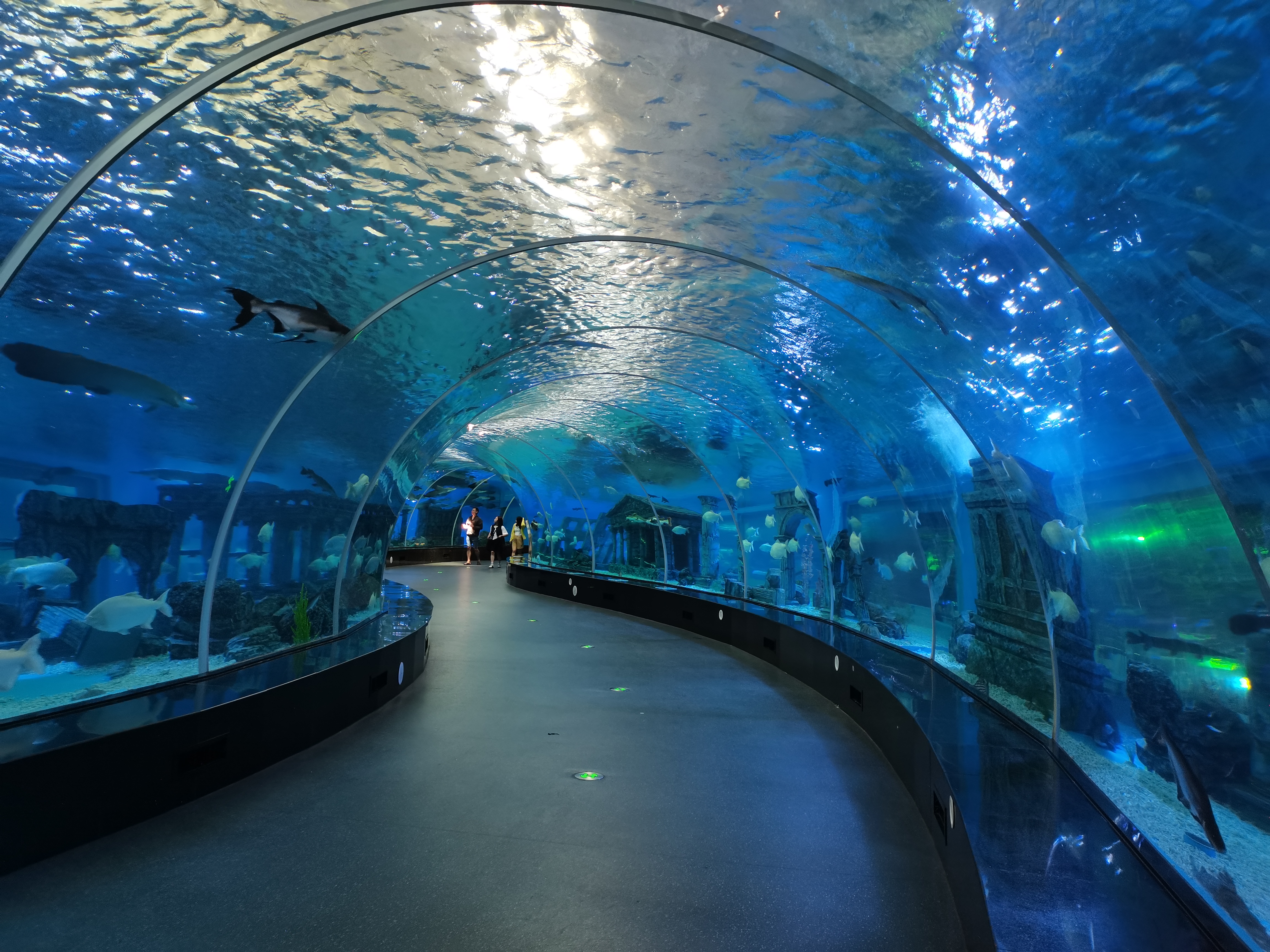 Acuario t&uacute;nel acr&iacute;lico - LEYU ACRYLIC