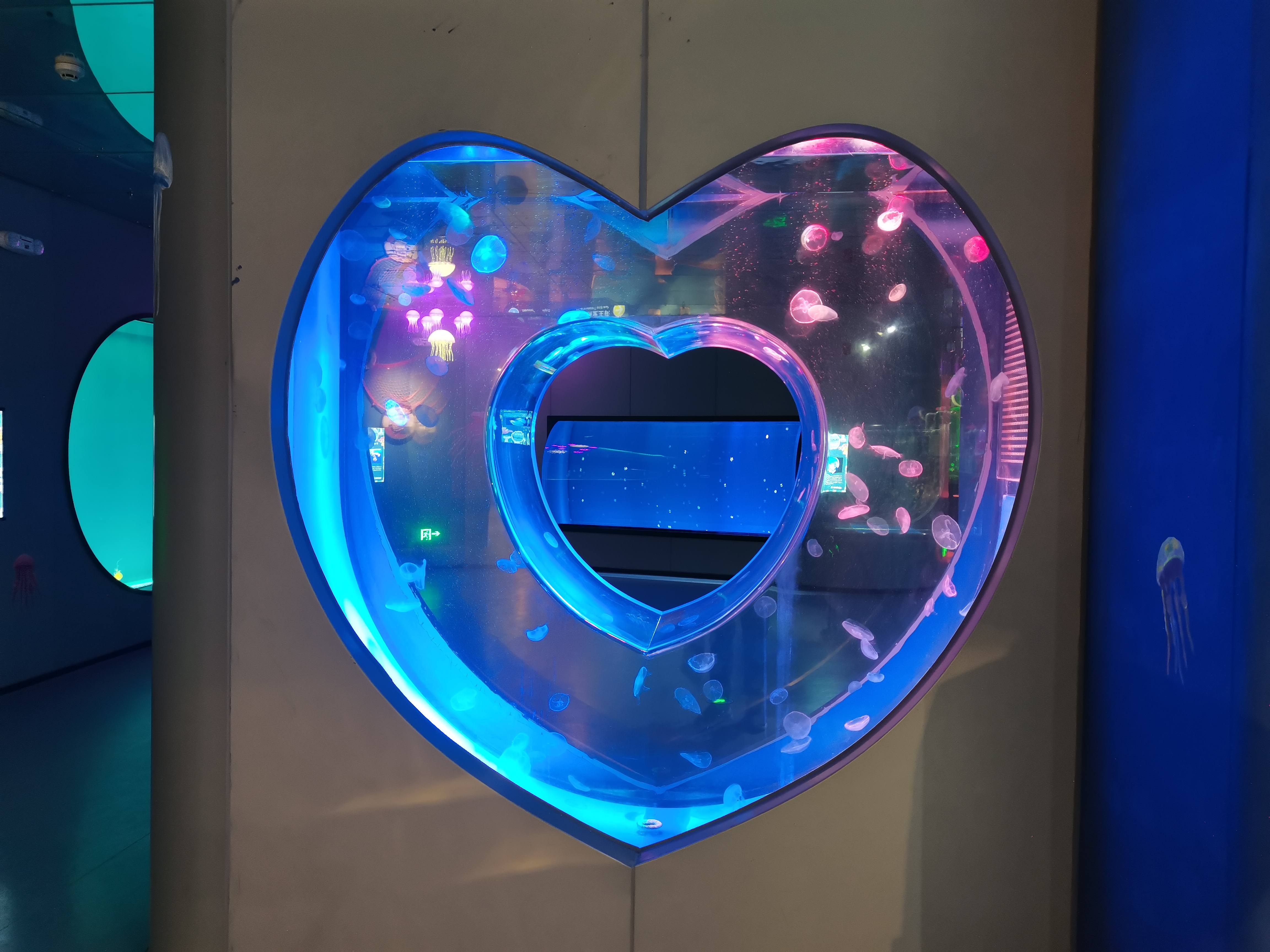 Acuario de medusas acr&iacute;lico - instalaci&oacute;n