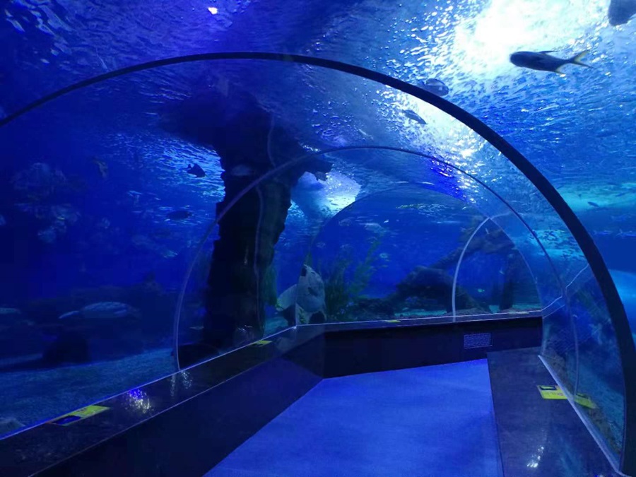 T&uacute;nel del Acuario Leyu - Longchuan Polar Ocean World en la provincia de Guizhou (7)