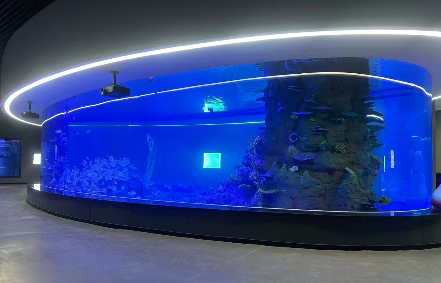 Acuario acr&iacute;lico - LEYU ACRYLIC