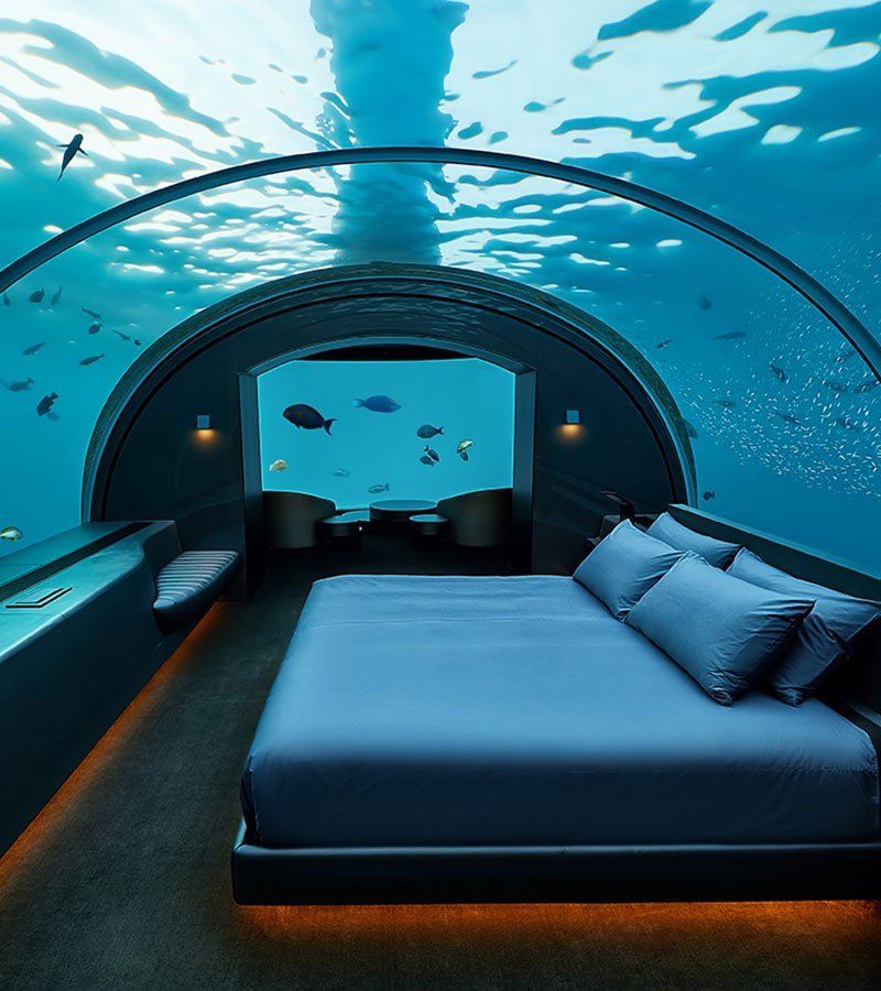 T&uacute;nel acr&iacute;lico para acuario -fabricaci&oacute;n