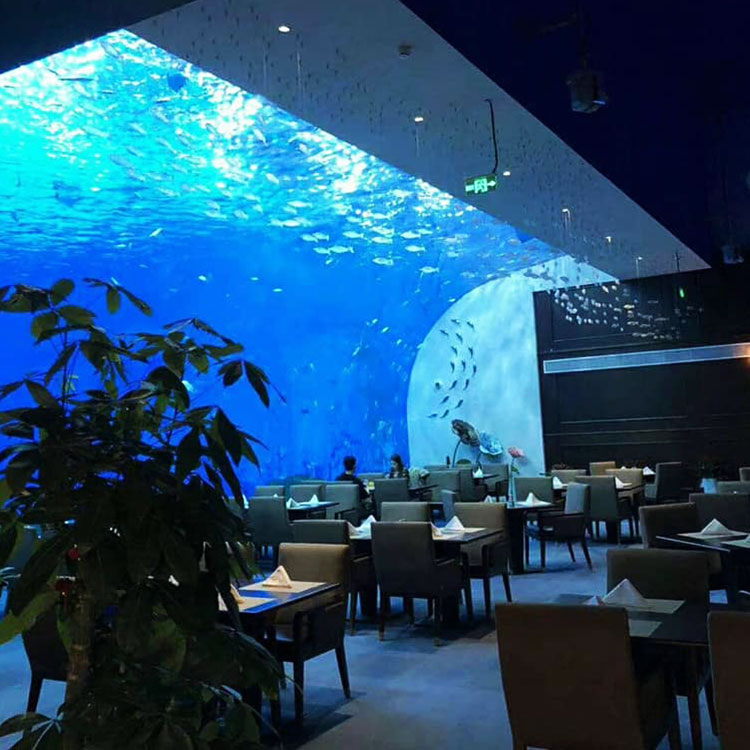 Acuario de ventana acr&iacute;lica - fabricaci&oacute;n