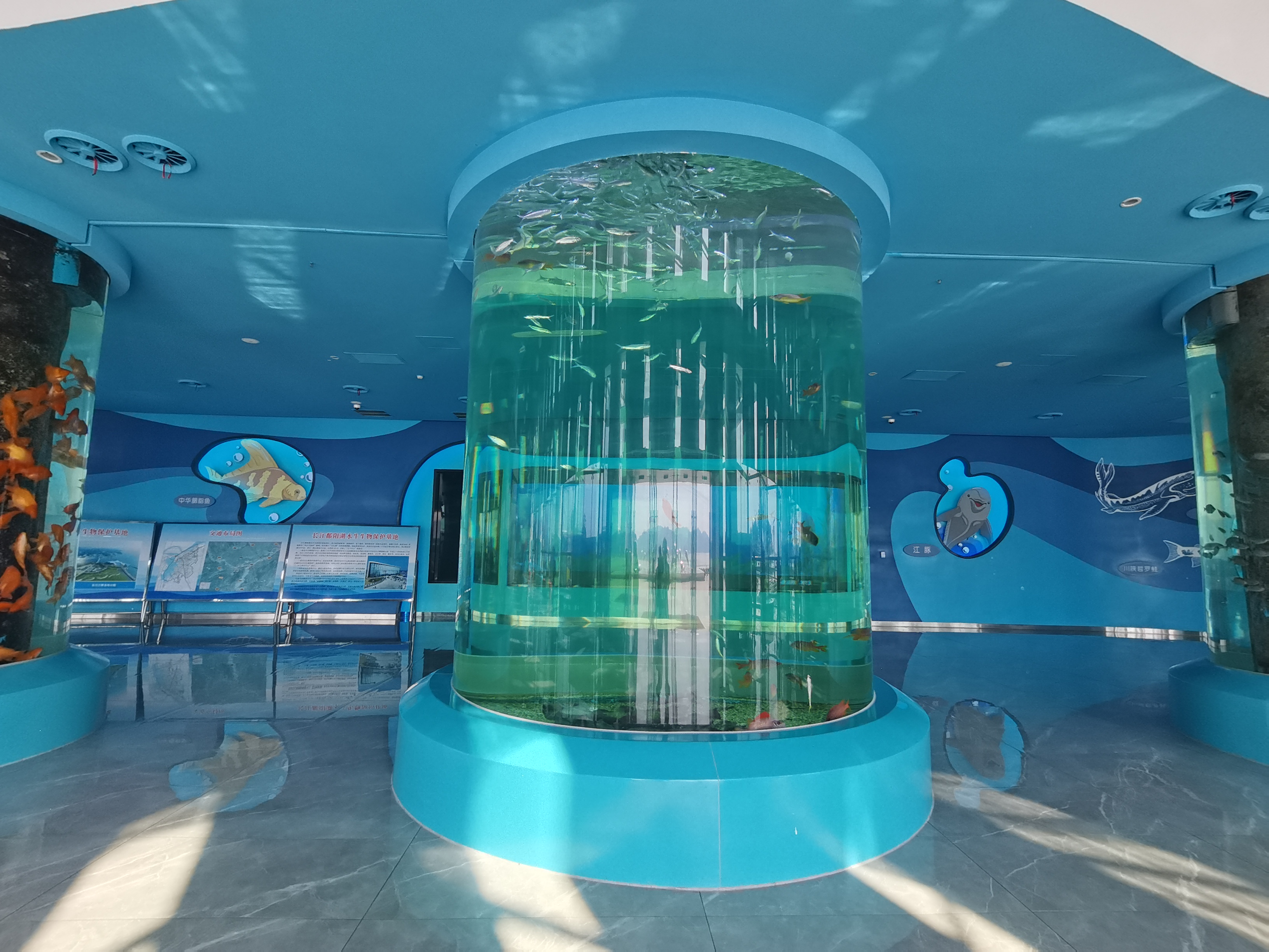 Acuario cil&iacute;ndrico acr&iacute;lico - instalaci&oacute;n