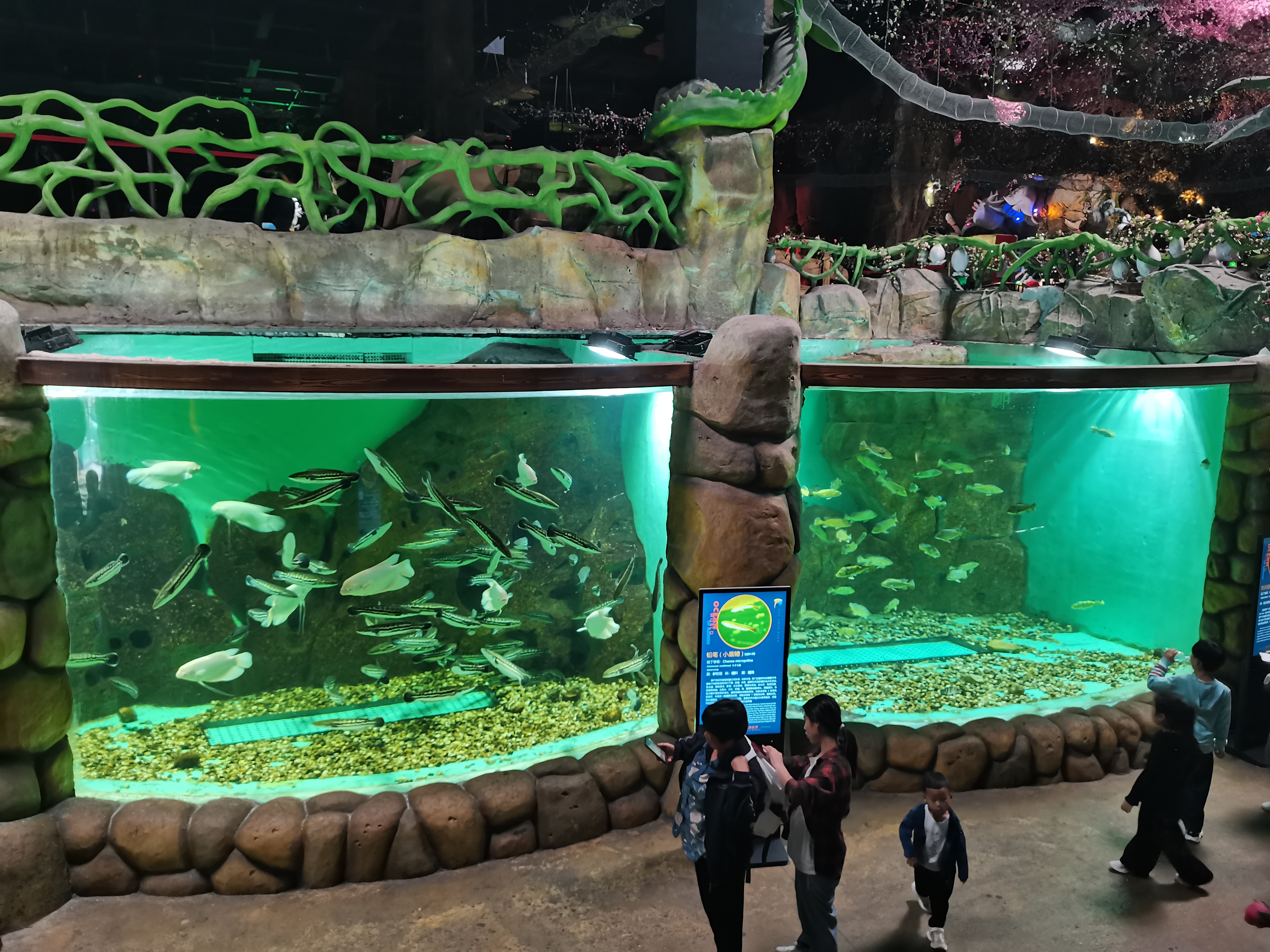Ventana acr&iacute;lica para acuario - fabricaci&oacute;n 