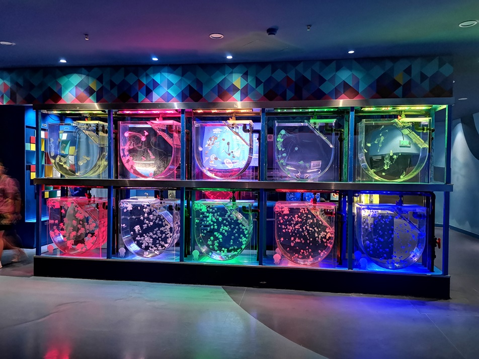 Parque Oce&aacute;nico Polar Haichang de Shanghai - Acuario de medusas Leyu