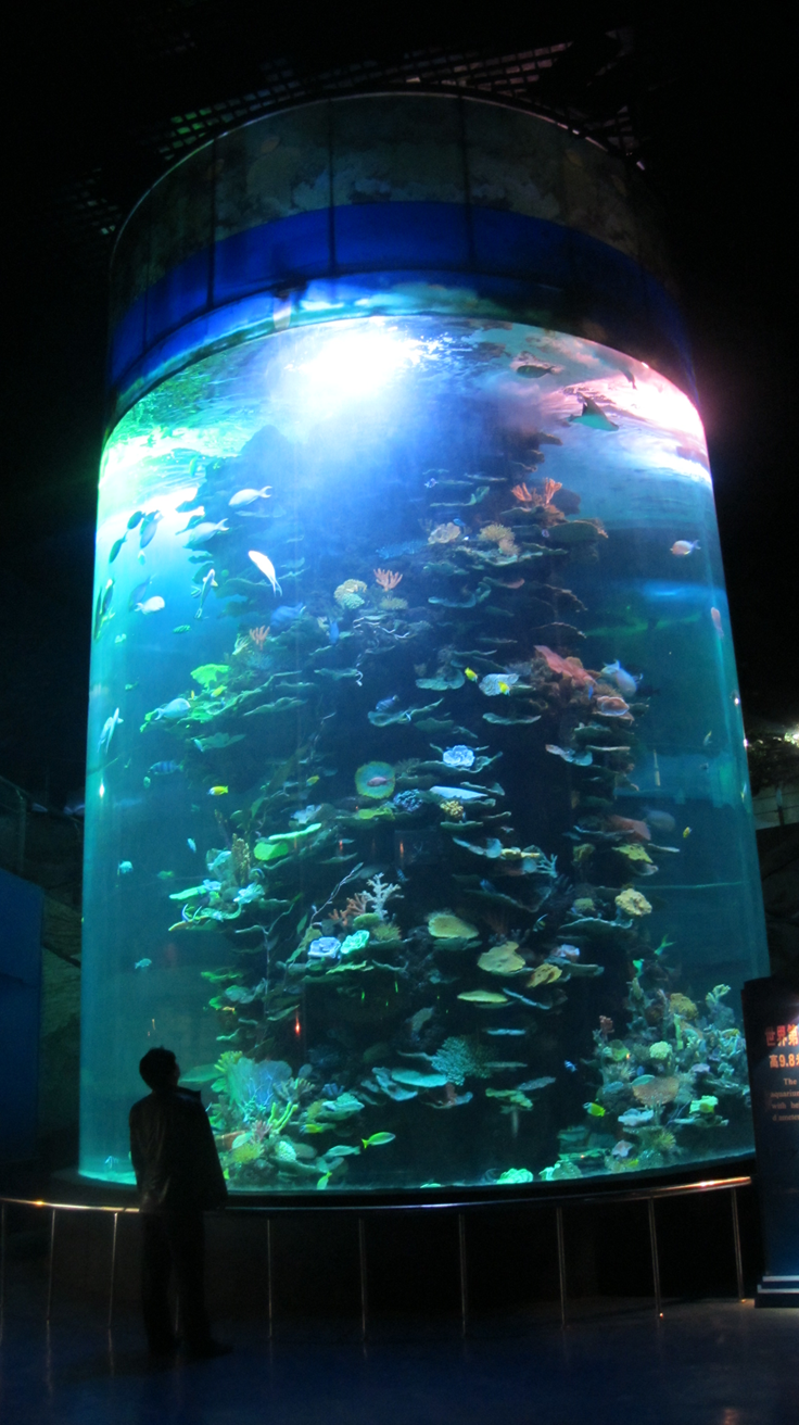 Shandong Penglai Underwater World - Leyu Arylic Cylindrical Aquarim Mundo submarino de Shandong Penglai - Acuario cilíndrico acrílico Leyu