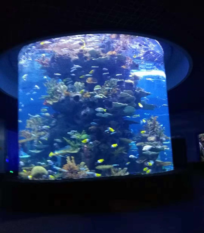 Pecera cil&iacute;ndrica Leyu - Longchuan Polar Ocean World en la provincia de Guizhou (5)