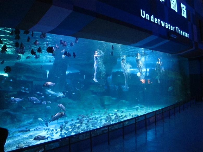 Ventana de visualizaci&oacute;n acr&iacute;lica personalizada de dise&ntilde;o de lujo para acuario