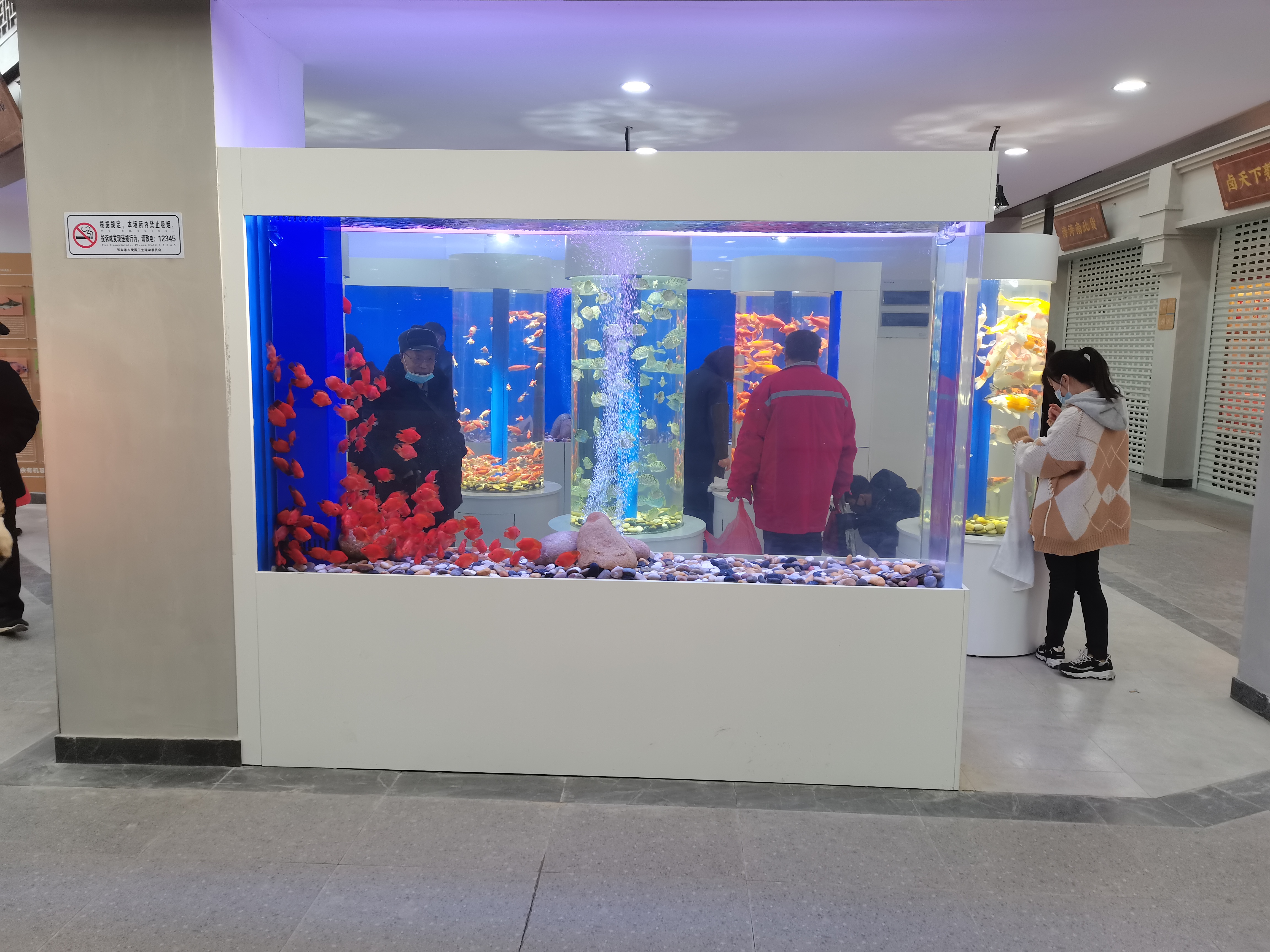 Pecera acr&iacute;lica personalizada - f&aacute;brica