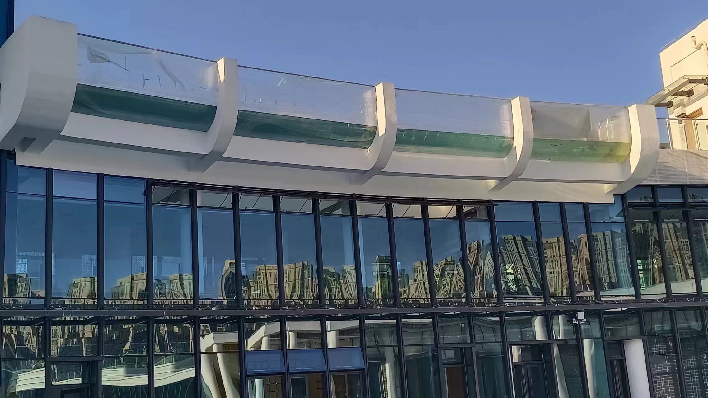 Piscina acr&iacute;lica - dise&ntilde;o