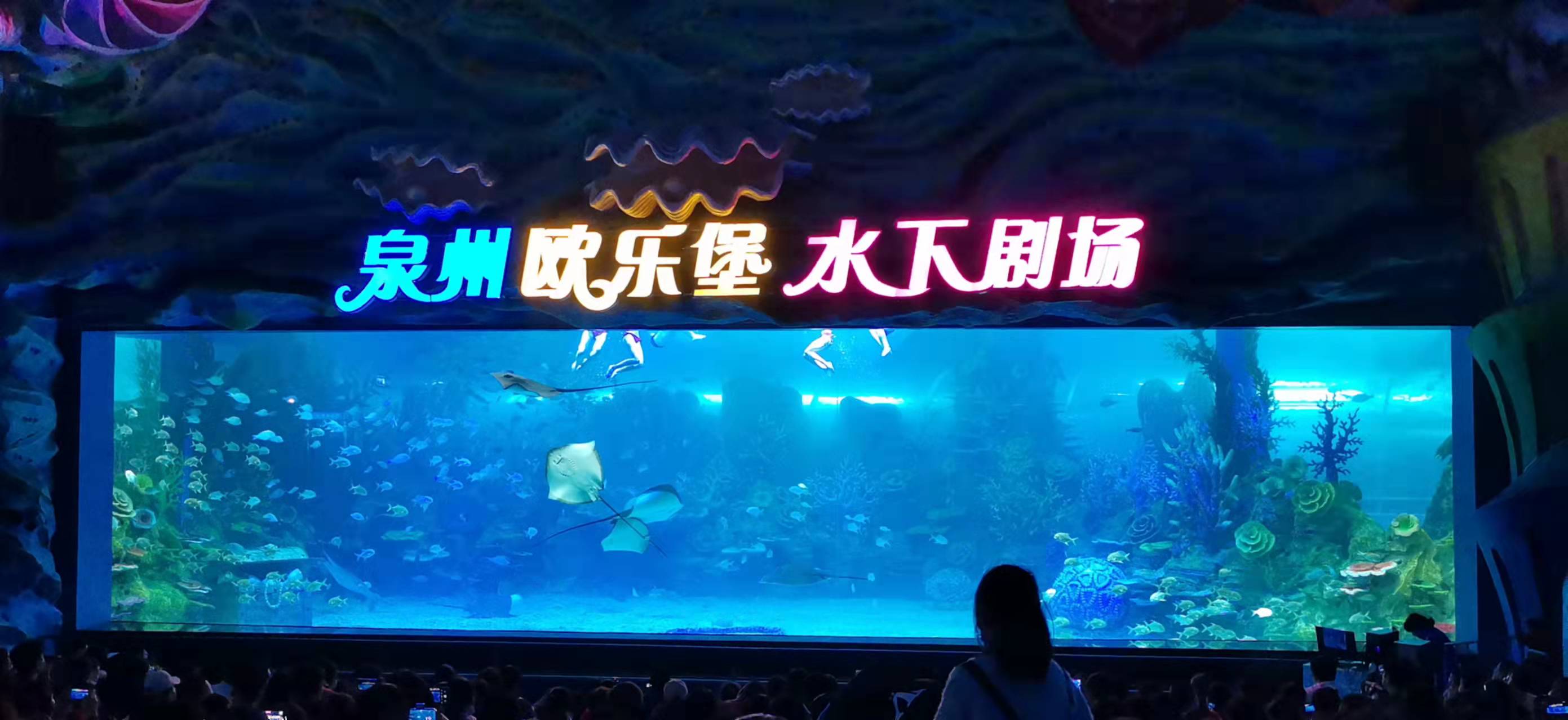 Acuario de ventana acr&iacute;lica - fabricaci&oacute;n 