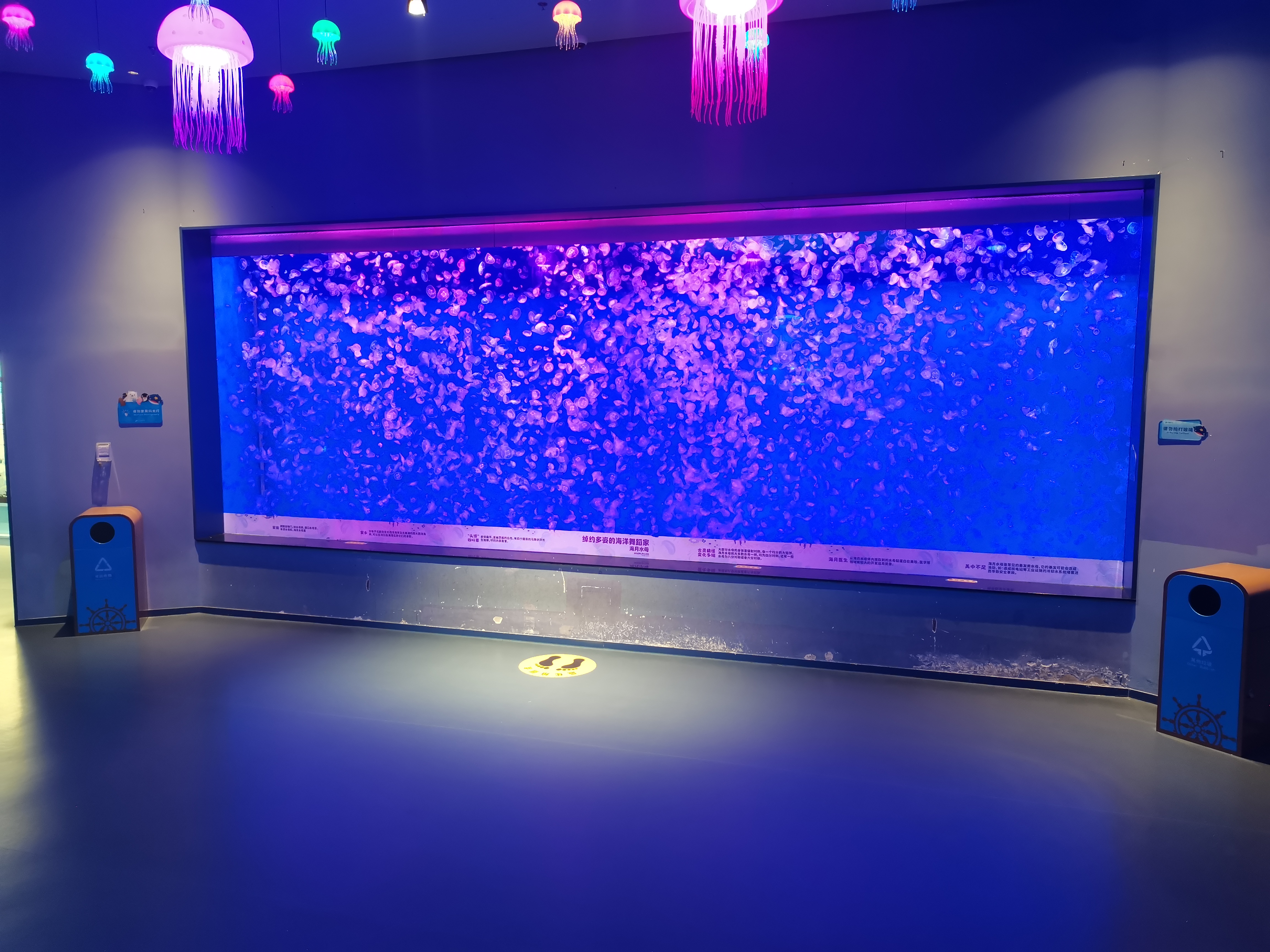 Acuario de ventana acr&iacute;lica - LEYU ACRYLIC