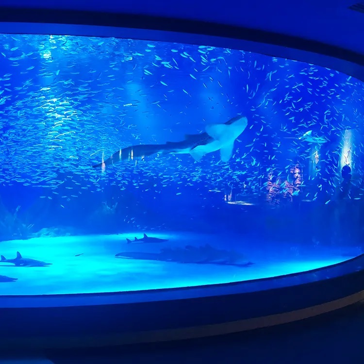 Ventana de visualizaci&oacute;n acr&iacute;lica para acuario - Leyu