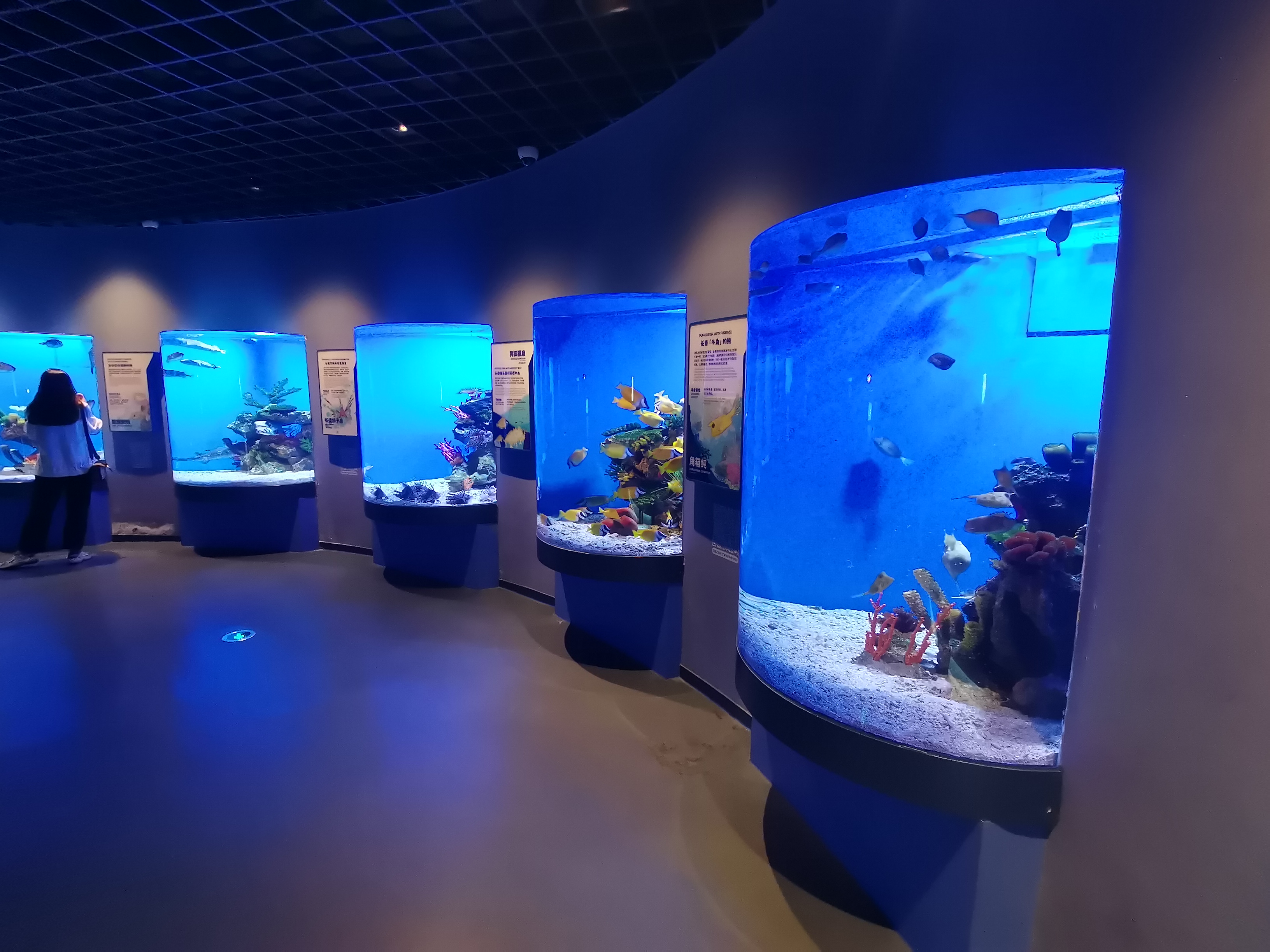 tanques de acuario de acr&iacute;lico 