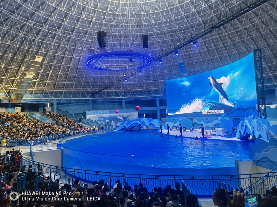 Parque Oce&aacute;nico Polar Xuzhou Oulebao - Leyu (2)