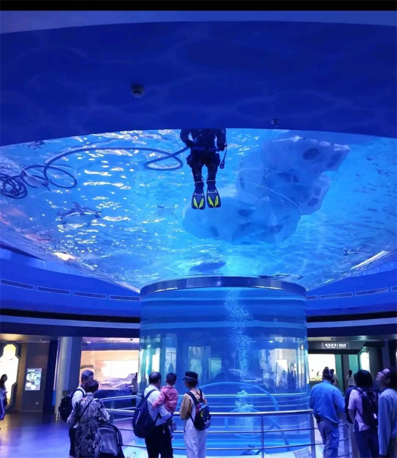 ¿Las ventanas acrílicas son menos frágiles que el vidrio en Ocean Park? -Fábrica de productos de láminas acrílicas Leyu