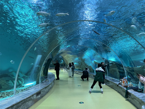 Restaurante oceanario cómo deshacerse de las algas en la pecera Personalización profesional de Leyu - Leyu