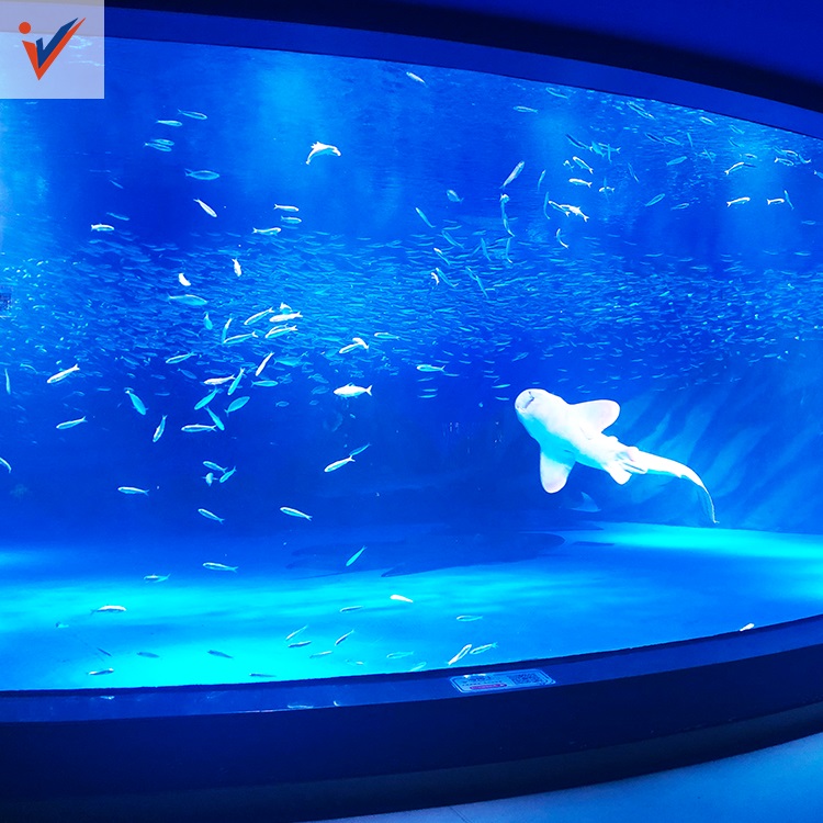 Ventana de visualización acrílica personalizada de diseño de lujo para acuario -Leyu