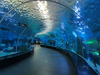 Acuario Aqualife construido por Leyu Acrylic Aquarium Factory - Leyu