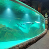 Ventana de acrílico personalizada Acuario Oceanarium-Leyu Fábrica de productos de láminas acrílicas 
