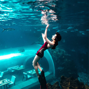 Túnel de cristal acrílico del tanque del acuario del oceanario curvado ultra claro grande - Fábrica de acuarios de acrílico Leyu