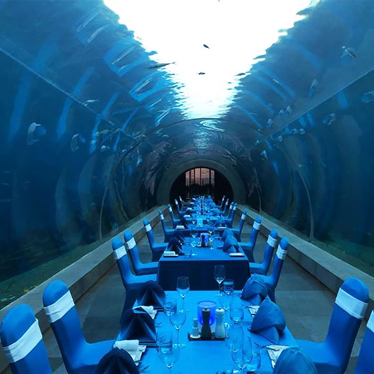 Grandes tanques de acuario de oceanario curvos ultra claros Túnel de vidrio acrílico Fábrica de acuarios de acrílico Leyu - Leyu 