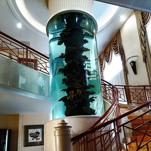 Cómo tener un acuario con pecera acrílica personalizado por fábrica - leyu