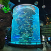 Acuario cilíndrico transparente acrílico personalizado - LEYU