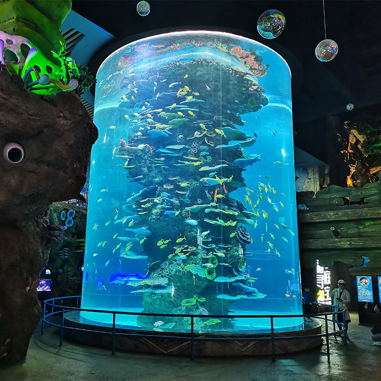 Acuario cilíndrico transparente acrílico personalizado - LEYU