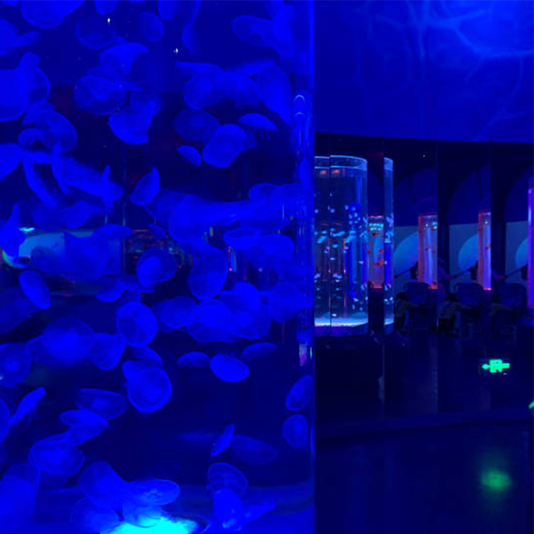 Acuario de medusas acrílico personalizado, tanque de medusas, qué estilos - Leyu