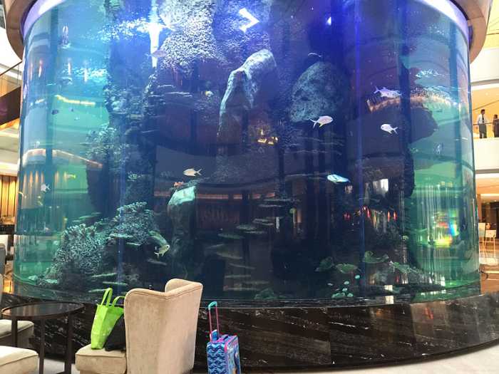 ¿Cómo se eliminan las algas del tanque de acuario acrílico? -leyu Acrylic Sheet Product Factory