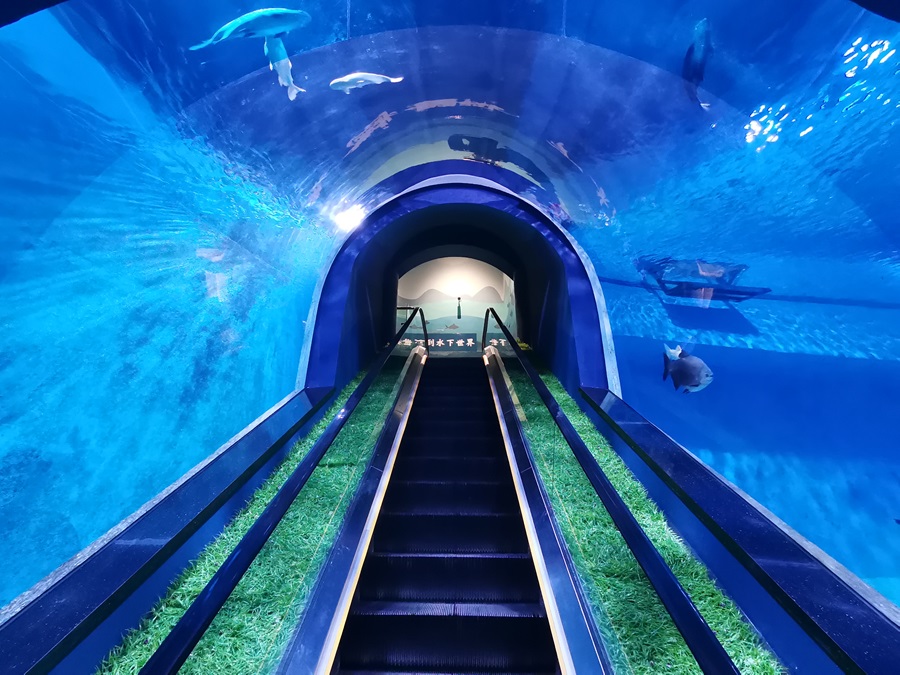 Acuario de túnel acrílico Oceanarium para restaurante submarino o parque oceánico- LEYU