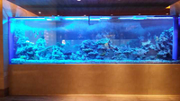 //imrorwxhmmkrpk5p.ldycdn.com/cloud/pjBmqKmipmSRploqokojkr/How-to-own-Acrylic-Aquariums-Plastic-Fish-aquariums-Leyu.jpg