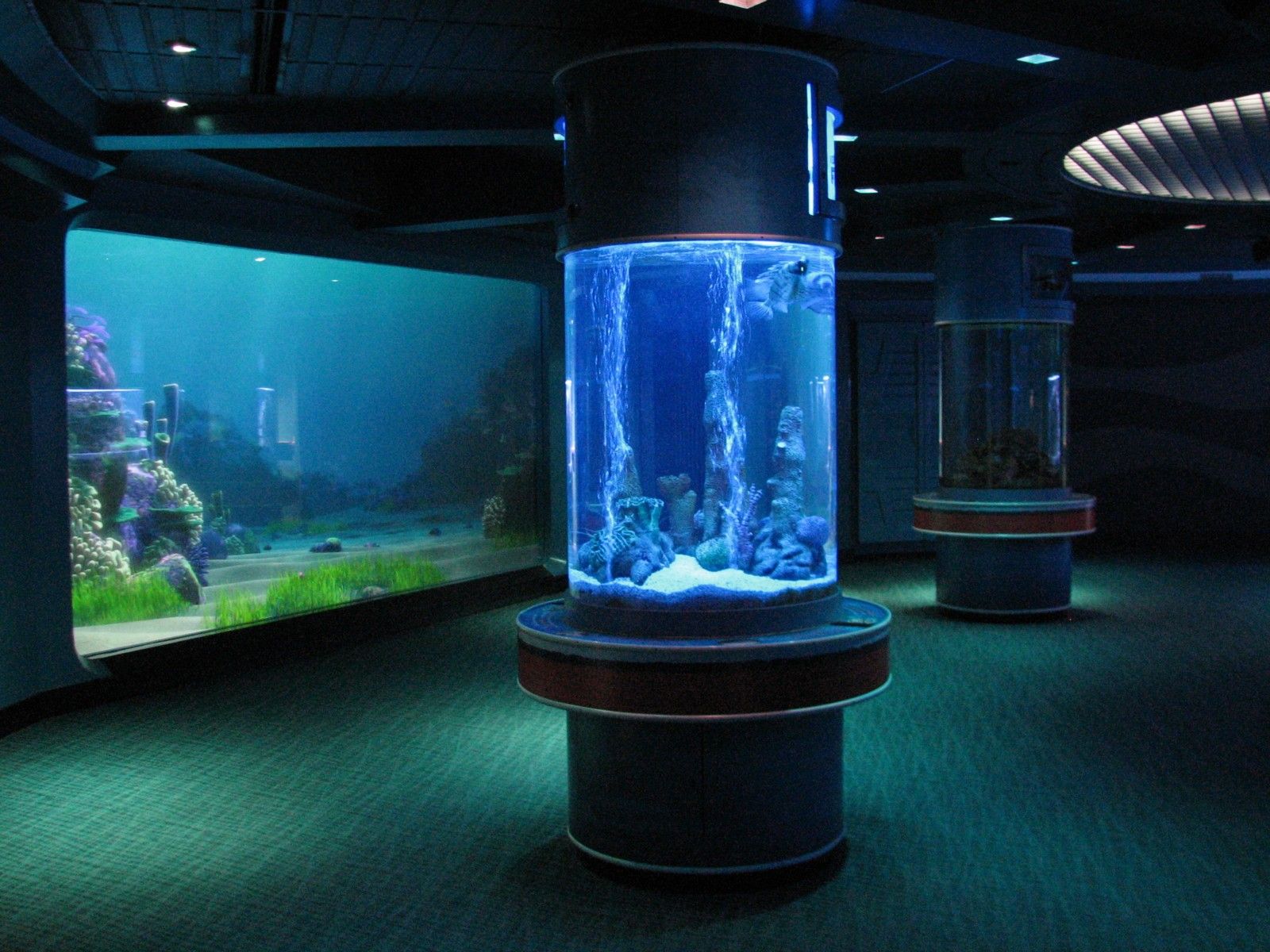 Fábrica de peceras de acuario acrílico de cilindro grande en China - Leyu 