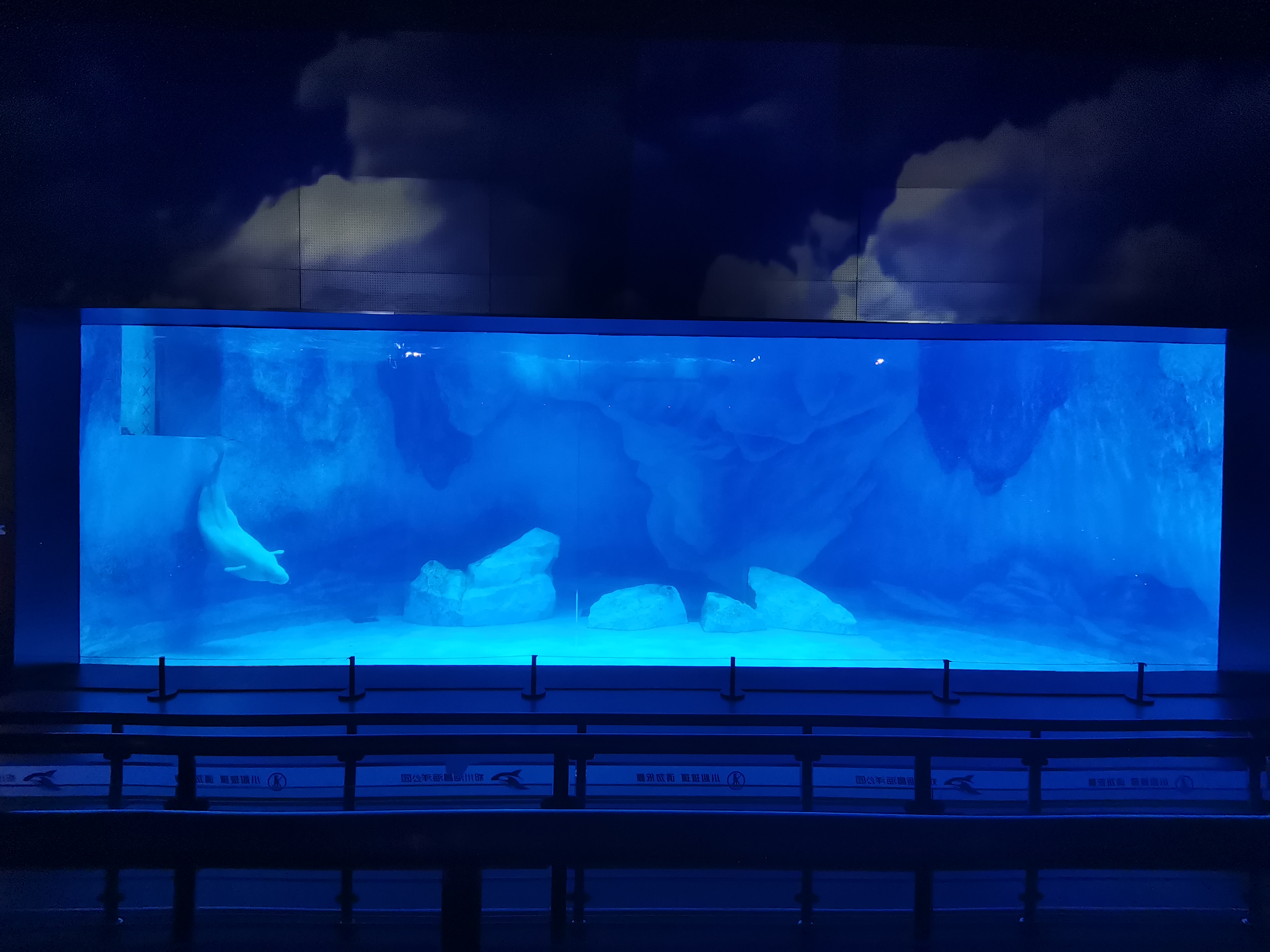 Acuario de ventana acr&iacute;lica - LEYU