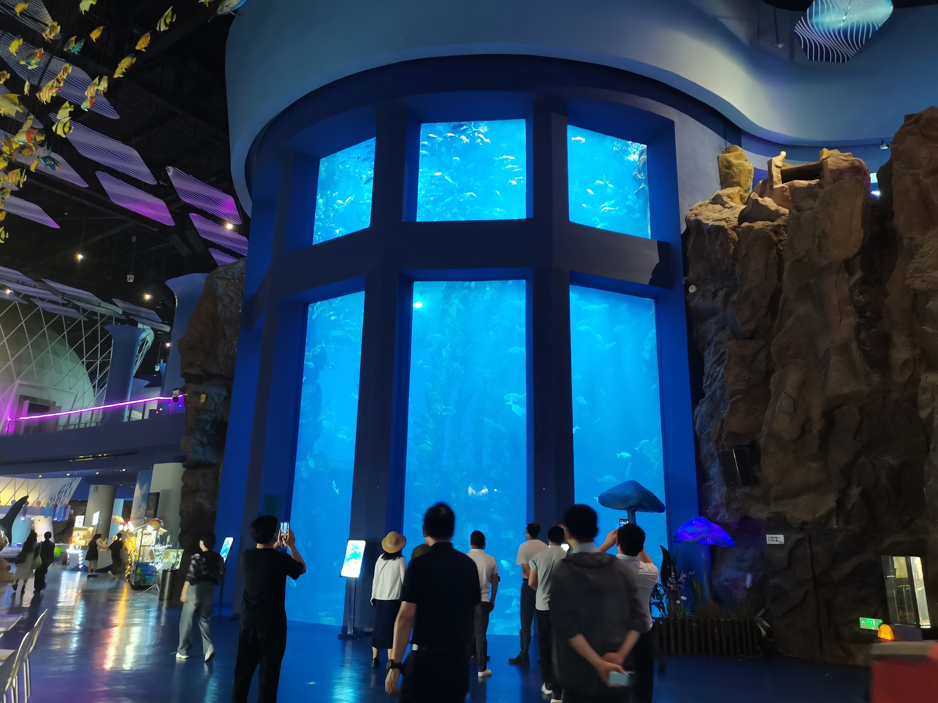 Acuario de ventana acr&iacute;lica - fabricante