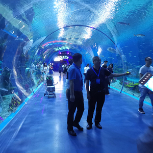 ¿Qué acuario tiene un túnel submarino? Leyu Factory vende túneles submarinos acrílicos- Leyu 