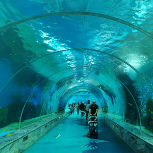 Grandes tanques de acuario de oceanario curvos ultra claros Túnel de vidrio acrílico Fábrica de acuarios de acrílico Leyu - Leyu 