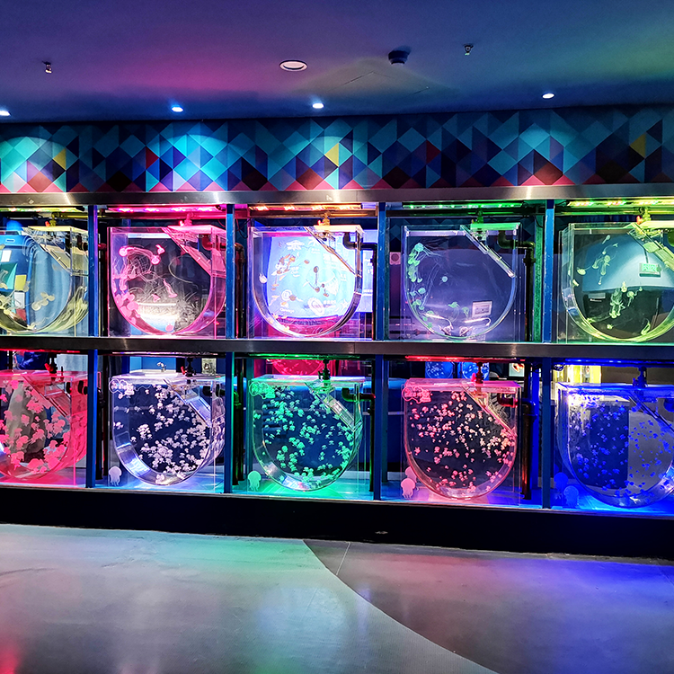 La fábrica de acuarios acrílicos de Leyu produce un acuario acrílico de 100 galones - Leyu 