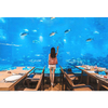 Artículos populares en Ocean Park en Washington-leyu Acrylic Factory - Leyu