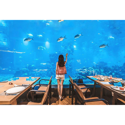 Artículos populares en Ocean Park en Washington-leyu Acrylic Factory - Leyu