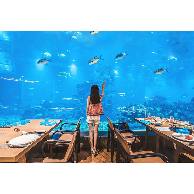 Artículos populares en Ocean Park en Washington-leyu Acrylic Factory - Leyu