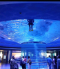 Oceanario de Lisboa explora el océano mundo oceanario La fábrica del Acuario Acrílico Leyu se especializa en la construcción de oceanarios. -Leyu