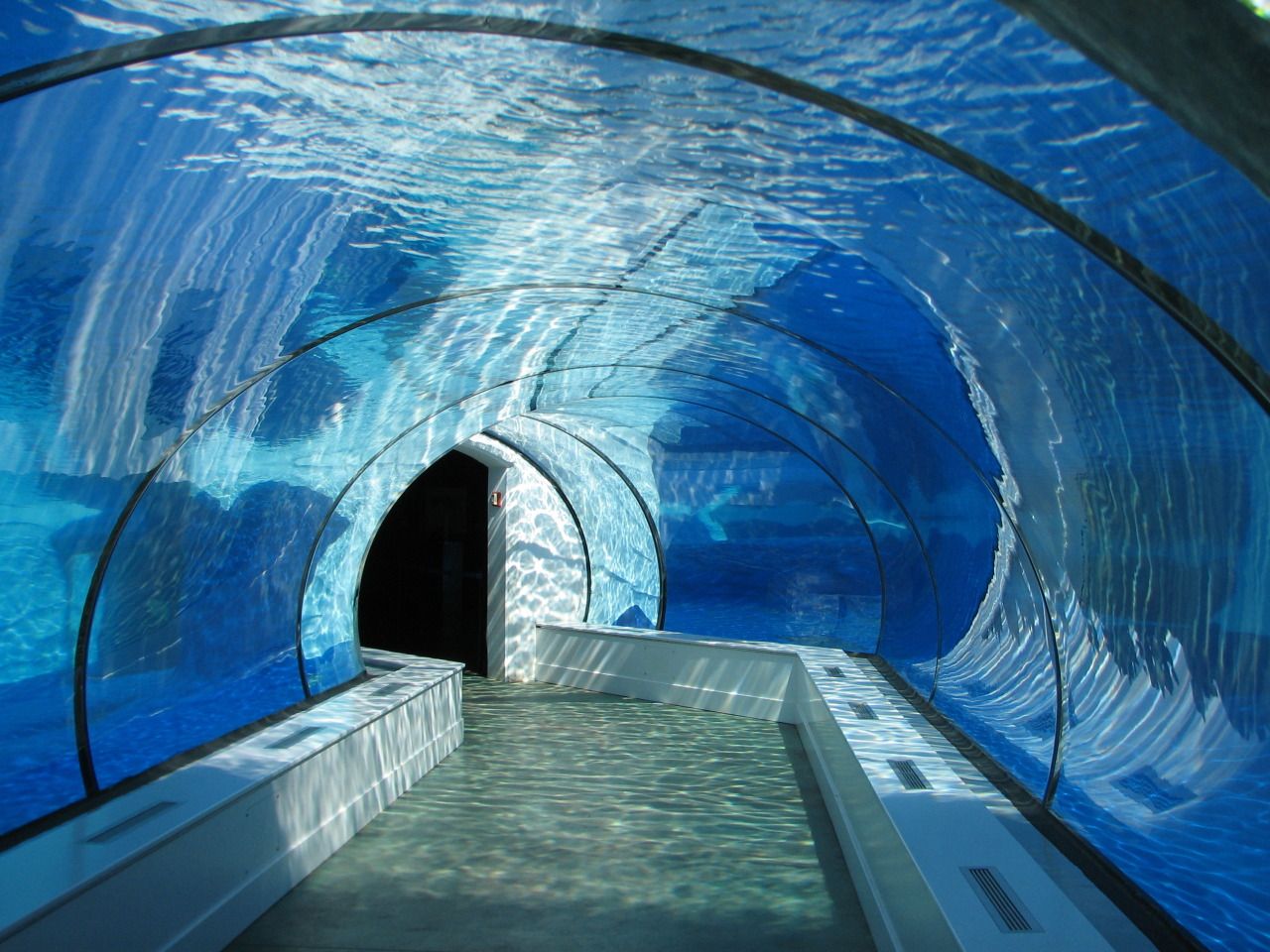El acuario túnel cerca de nosotros está hecho de láminas acrílicas Leyu - Leyu 