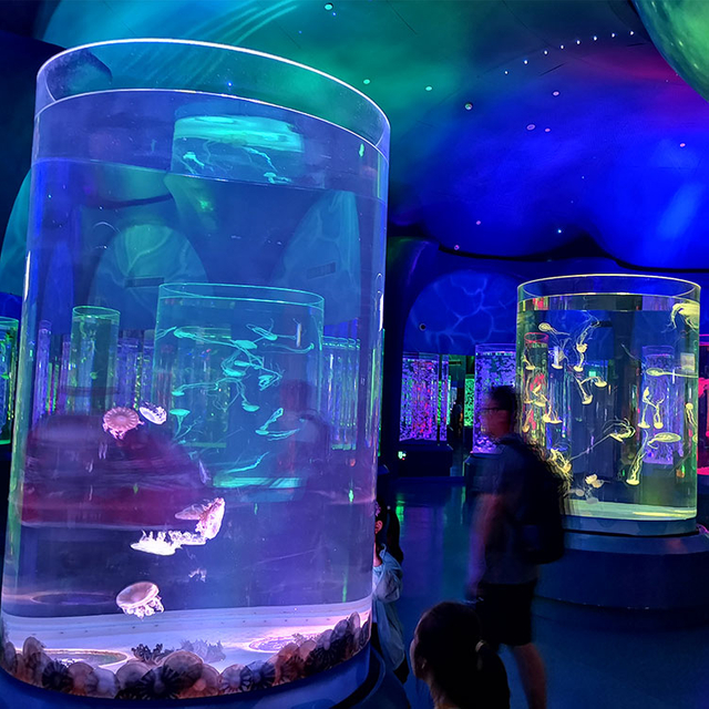 ¿Cuánto costará normalmente tener un acuario acrílico? - leyu